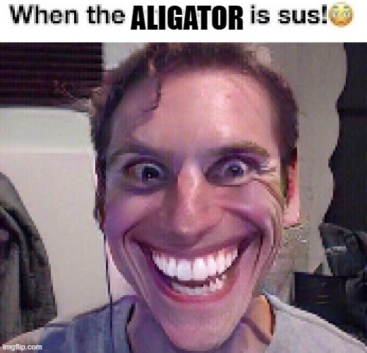 when the imposter is sus ? | ALIGATOR | image tagged in when the imposter is sus | made w/ Imgflip meme maker