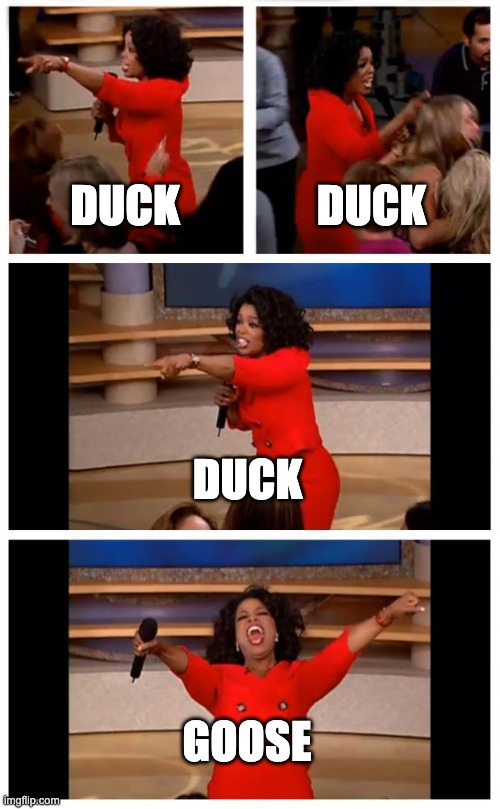 Oprah You Get A Car Everybody Gets A Car | DUCK; DUCK; DUCK; GOOSE | image tagged in memes,oprah you get a car everybody gets a car | made w/ Imgflip meme maker