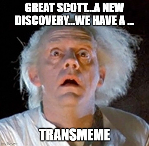 GREAT SCOTT...A NEW DISCOVERY...WE HAVE A ... TRANSMEME | made w/ Imgflip meme maker