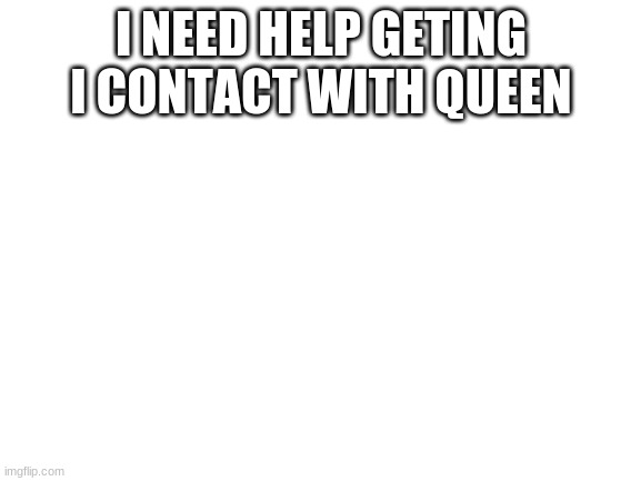 Blank White Template | I NEED HELP GETTING I CONTACT WITH QUEEN | image tagged in blank white template | made w/ Imgflip meme maker