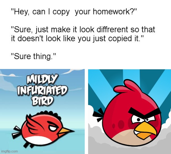 really? "mildly infuriated bird"? seriously | image tagged in hey can i copy your homework,angry birds,angry bird | made w/ Imgflip meme maker