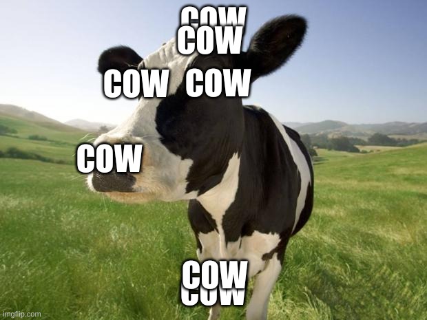 cow cow cow cow cow cow cow cow cow cow cow cow cow cow cow cow cow cow cow cow cow cow cow cow cow cow cow cow cow cow cow cow  | COW; COW; COW; COW; COW; COW; COW | image tagged in cow,cow news,cow alert system | made w/ Imgflip meme maker