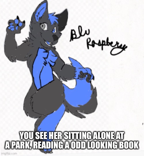 Rolplay! |  YOU SEE HER SITTING ALONE AT A PARK, READING A ODD LOOKING BOOK | image tagged in furry | made w/ Imgflip meme maker