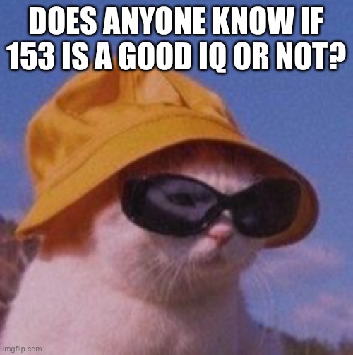 Just wondering | DOES ANYONE KNOW IF 153 IS A GOOD IQ OR NOT? | made w/ Imgflip meme maker