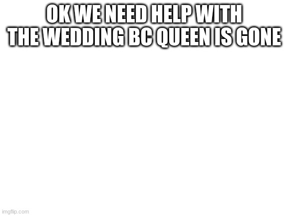 Blank White Template | OK WE NEED HELP WITH THE WEDDING BC QUEEN IS GONE | image tagged in blank white template | made w/ Imgflip meme maker
