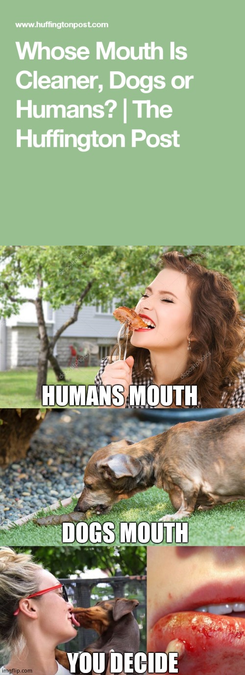 Does your doggo give you kisses ? | HUMANS MOUTH; DOGS MOUTH; YOU DECIDE | image tagged in memes,dogs,licking,germs,public service announcement,fun | made w/ Imgflip meme maker