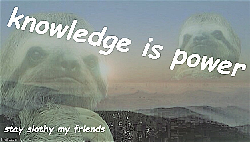 Sloth knowledge is power stay slothy my friends | image tagged in sloth knowledge is power stay slothy my friends | made w/ Imgflip meme maker