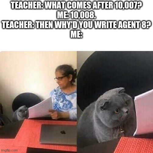 bruh moment | TEACHER: WHAT COMES AFTER 10,007?
ME: 10,008.
TEACHER: THEN WHY'D YOU WRITE AGENT 8?


ME: | image tagged in cat teacher,splatoon,splatoon2,octo,nintendo | made w/ Imgflip meme maker