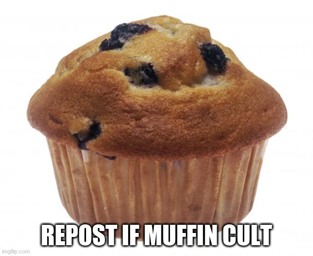 i'm gonna make Jaiden proud! | REPOST IF MUFFIN CULT | image tagged in popular opinion muffin | made w/ Imgflip meme maker