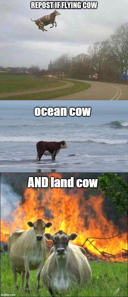 lol im so bored | ocean cow; AND land cow | image tagged in sad cow,memes,evil cows | made w/ Imgflip meme maker