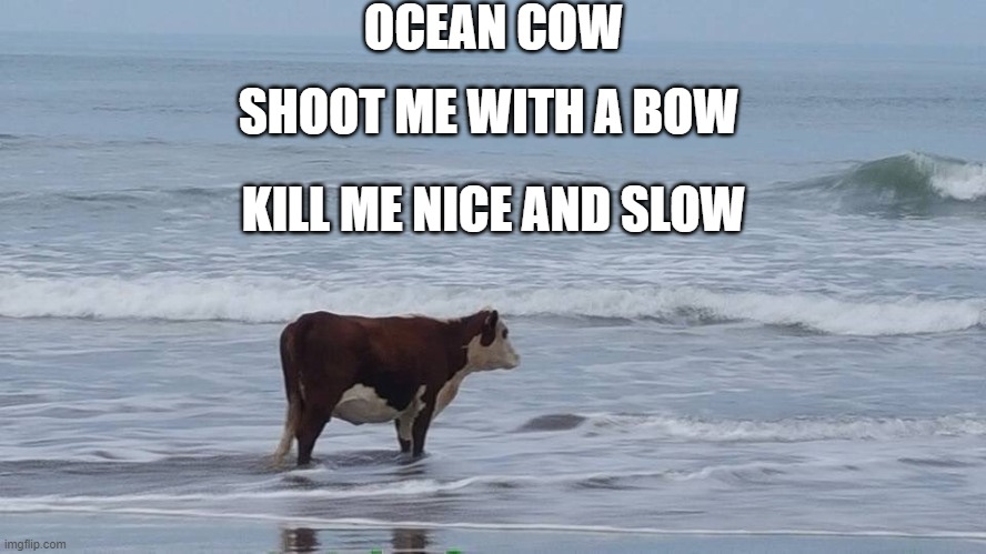 sad cow | OCEAN COW; SHOOT ME WITH A BOW; KILL ME NICE AND SLOW | image tagged in sad cow | made w/ Imgflip meme maker