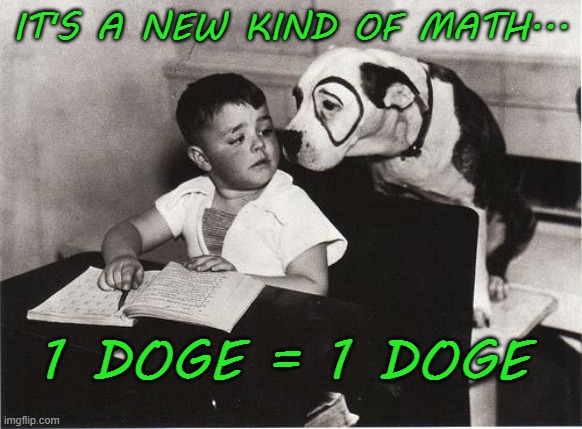 IT'S A NEW KIND OF MATH... 1 DOGE = 1 DOGE | made w/ Imgflip meme maker