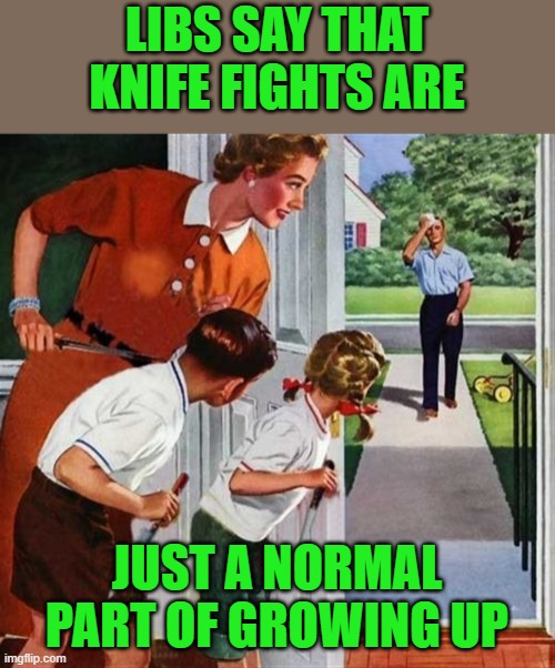Thanks to DanSmith8 | LIBS SAY THAT KNIFE FIGHTS ARE; JUST A NORMAL PART OF GROWING UP | image tagged in family knives,libs,cops | made w/ Imgflip meme maker