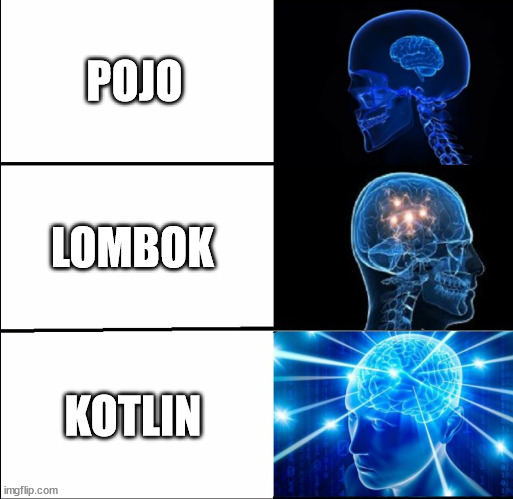 Galaxy Brain (3 brains) | POJO; LOMBOK; KOTLIN | image tagged in galaxy brain 3 brains | made w/ Imgflip meme maker