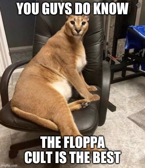 you cant disagree, hes floppa | YOU GUYS DO KNOW; THE FLOPPA CULT IS THE BEST | image tagged in big floppa | made w/ Imgflip meme maker
