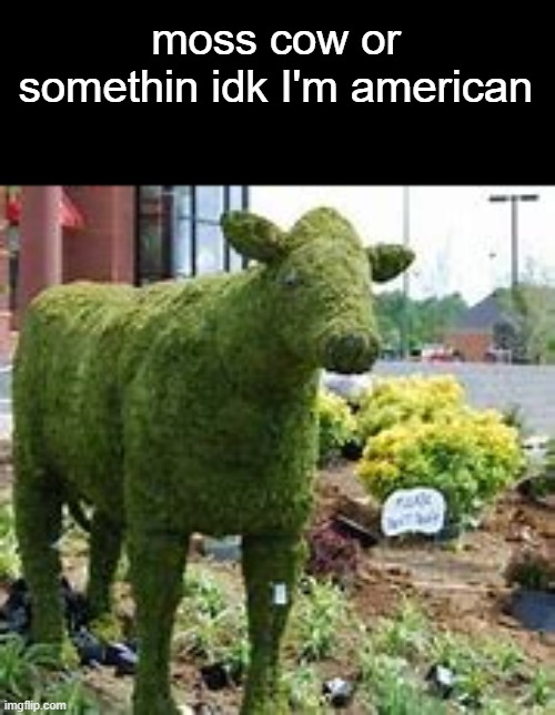 moss cow or somethin idk I'm american | made w/ Imgflip meme maker