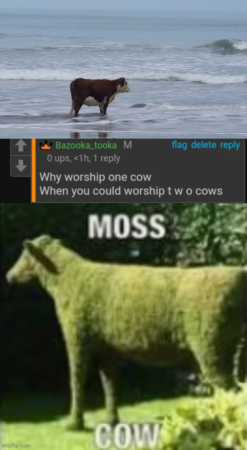 image tagged in sad cow,moss cow | made w/ Imgflip meme maker