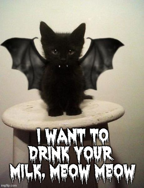 Bat or cat? | I WANT TO DRINK YOUR 
MILK, MEOW MEOW | image tagged in cats | made w/ Imgflip meme maker