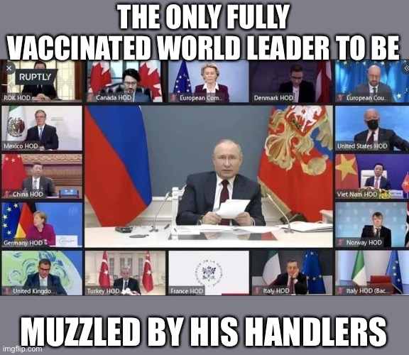 A mask or a muzzle? Who is running the show? | THE ONLY FULLY VACCINATED WORLD LEADER TO BE; MUZZLED BY HIS HANDLERS | image tagged in biden,mask,muzzle,virtual summit | made w/ Imgflip meme maker