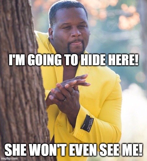 Black guy hiding behind tree | I'M GOING TO HIDE HERE! SHE WON'T EVEN SEE ME! | image tagged in black guy hiding behind tree | made w/ Imgflip meme maker