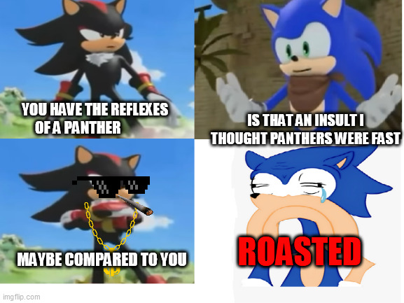 Sonic Gets Roasted | YOU HAVE THE REFLEXES OF A PANTHER; IS THAT AN INSULT I THOUGHT PANTHERS WERE FAST; ROASTED; MAYBE COMPARED TO YOU | image tagged in sonic the hedgehog,shadow the hedgehog,roasted | made w/ Imgflip meme maker