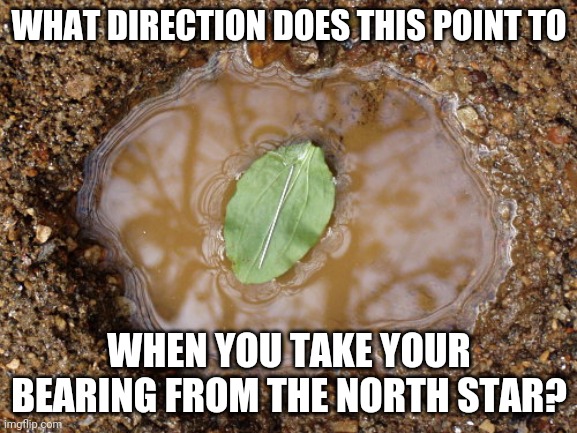 WHAT DIRECTION DOES THIS POINT TO; WHEN YOU TAKE YOUR BEARING FROM THE NORTH STAR? | image tagged in leaf compass,science,conspiracy theory | made w/ Imgflip meme maker