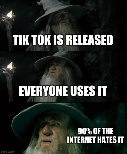 confused gandalf | TIK TOK IS RELEASED; EVERYONE USES IT; 90% OF THE INTERNET HATES IT | image tagged in memes,confused gandalf | made w/ Imgflip meme maker