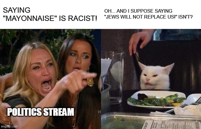 Woman Yelling At Cat | SAYING "MAYONNAISE" IS RACIST! OH... AND I SUPPOSE SAYING "JEWS WILL NOT REPLACE US!" ISN'T? POLITICS STREAM | image tagged in memes,woman yelling at cat | made w/ Imgflip meme maker