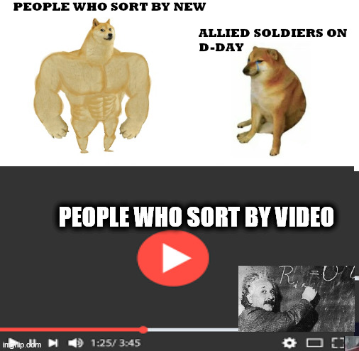 PEOPLE WHO SORT BY VIDEO | image tagged in memes | made w/ Imgflip meme maker