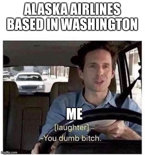 You dumb bitch | ALASKA AIRLINES BASED IN WASHINGTON ME | image tagged in you dumb bitch | made w/ Imgflip meme maker