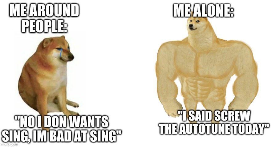 then i lower the songs volume to see how good i actually sing | ME ALONE:; ME AROUND PEOPLE:; "I SAID SCREW THE AUTOTUNE TODAY"; "NO I DON WANTS SING, IM BAD AT SING" | image tagged in swole doge vs cheems flipped | made w/ Imgflip meme maker
