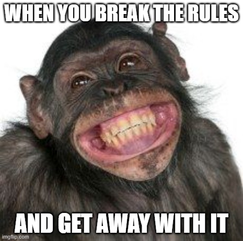 Grinning Chimp | WHEN YOU BREAK THE RULES; AND GET AWAY WITH IT | image tagged in grinning chimp | made w/ Imgflip meme maker