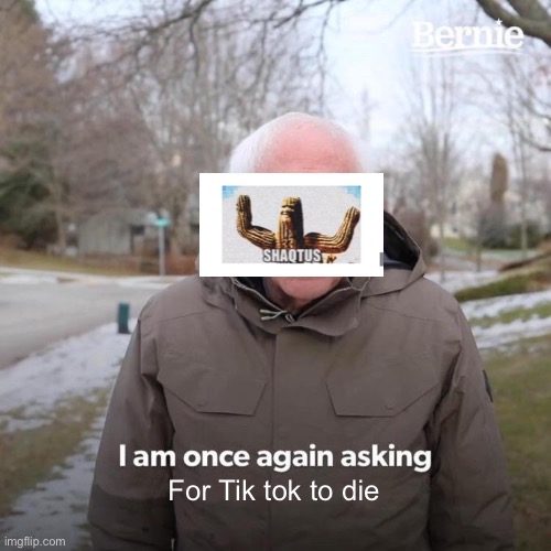 Shaqtus: Chapter 3: The Bombing of the Tik tok fanbase | For Tik tok to die | image tagged in memes,bernie i am once again asking for your support | made w/ Imgflip meme maker
