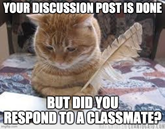 writer cat | YOUR DISCUSSION POST IS DONE; BUT DID YOU RESPOND TO A CLASSMATE? | image tagged in writer cat | made w/ Imgflip meme maker