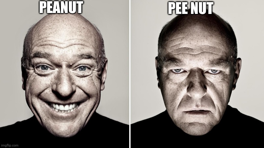 Dean Norris's reaction | PEANUT; PEE NUT | image tagged in dean norris's reaction | made w/ Imgflip meme maker