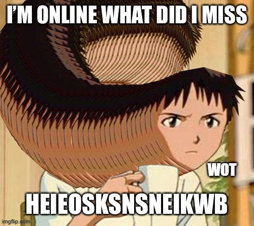 Wot | I’M ONLINE WHAT DID I MISS; HEIEOSKSNSNEIKWB | image tagged in wot | made w/ Imgflip meme maker
