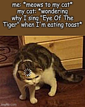 lol. (p.s look at the description) | me: *meows to my cat*
my cat: *wondering why I sing "Eye Of The Tiger" when I'm eating toast*; ㅤ; ㅤ; ㅤ; ㅤ; ㅤ; ㅤ; ㅤ; ㅤ; ㅤ; ㅤ; ㅤ; ㅤ; ㅤ; ㅤ; ㅤ; ㅤ; ㅤ; ㅤ; ㅤ; ㅤ; ㅤ; ㅤ; ㅤ; ㅤ; ㅤ; ㅤ; ㅤ; ㅤ; ㅤ; ㅤ; ㅤ; ㅤ; ㅤ; ㅤ; ㅤ | image tagged in loading cat | made w/ Imgflip meme maker
