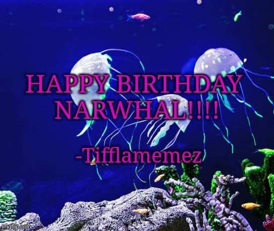 Here's your birthday card: Happy Birthday to you, Narwhal!!! | HAPPY BIRTHDAY 
NARWHAL!!!! -Tifflamemez | image tagged in happy birthday,birthday,card,birthdays,celebration,celebrate | made w/ Imgflip meme maker