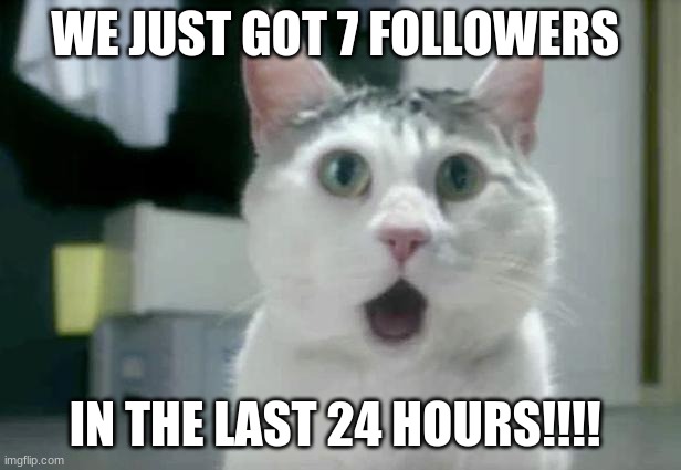 Yay for 17!!!! | WE JUST GOT 7 FOLLOWERS; IN THE LAST 24 HOURS!!!! | image tagged in memes,omg cat | made w/ Imgflip meme maker