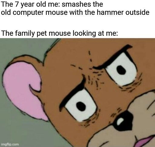 Smashes the computer mouse with the hammer |  The 7 year old me: smashes the old computer mouse with the hammer outside; The family pet mouse looking at me: | image tagged in unsettled jerry,blank white template,funny,unsettled tom,memes,mouse | made w/ Imgflip meme maker