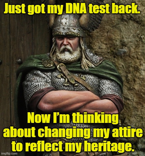 Scandinavian Heritage |  Just got my DNA test back. Now I’m thinking about changing my attire to reflect my heritage. | image tagged in viking,dna,my heritage,winter is coming,ethnicity | made w/ Imgflip meme maker