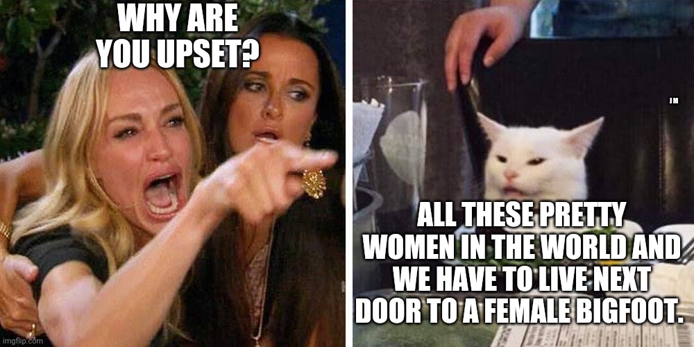 Smudge the cat | WHY ARE YOU UPSET? J M; ALL THESE PRETTY WOMEN IN THE WORLD AND WE HAVE TO LIVE NEXT DOOR TO A FEMALE BIGFOOT. | image tagged in smudge the cat | made w/ Imgflip meme maker