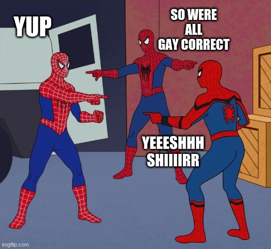 Spider Man Triple | SO WERE ALL GAY CORRECT; YUP; YEEESHHH SHIIIIRR | image tagged in spider man triple | made w/ Imgflip meme maker