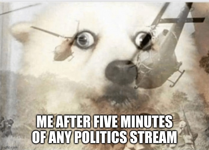 PTSD dog | ME AFTER FIVE MINUTES OF ANY POLITICS STREAM | image tagged in ptsd dog | made w/ Imgflip meme maker