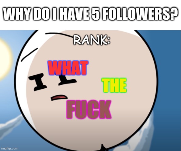 thanks, but still | WHY DO I HAVE 5 FOLLOWERS? | image tagged in rank what the fu k | made w/ Imgflip meme maker