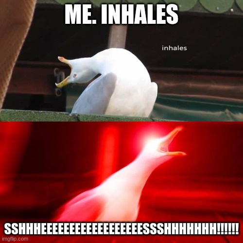 inhaling bird meme | ME. INHALES; SSHHHEEEEEEEEEEEEEEEEEESSSHHHHHHH!!!!!! | image tagged in inhaling bird meme | made w/ Imgflip meme maker