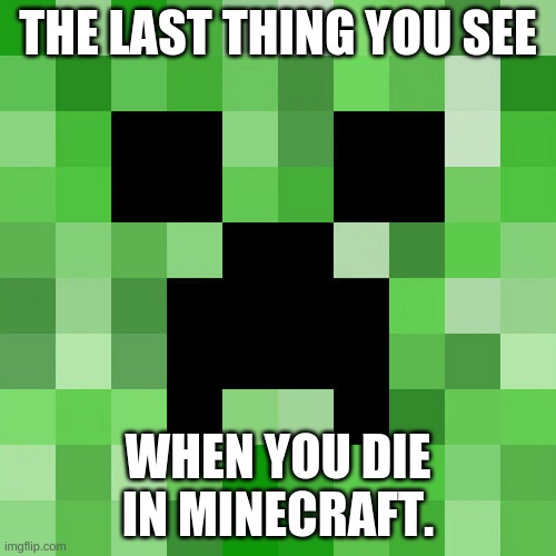 Scumbag Minecraft | THE LAST THING YOU SEE; WHEN YOU DIE IN MINECRAFT. | image tagged in memes,scumbag minecraft,minecraft | made w/ Imgflip meme maker