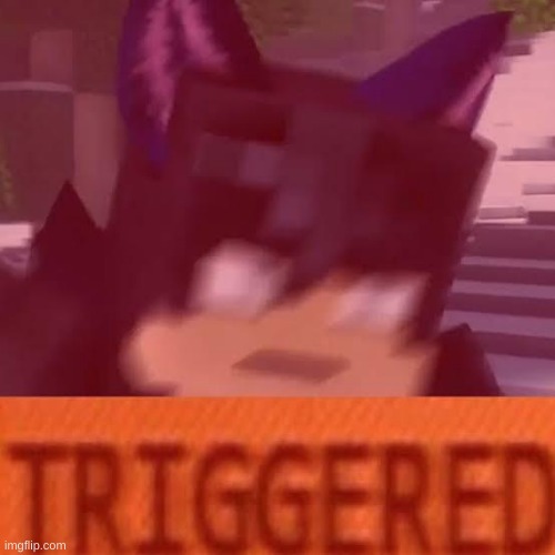 New temp | image tagged in ein triggered,aphmau | made w/ Imgflip meme maker