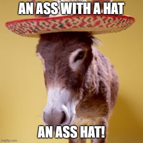 Asshat | AN ASS WITH A HAT AN ASS HAT! | image tagged in asshat | made w/ Imgflip meme maker