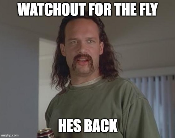 Watchoutcornhole | WATCHOUT FOR THE FLY HES BACK | image tagged in watchoutcornhole | made w/ Imgflip meme maker